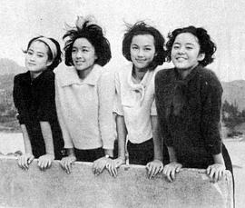 秦萍