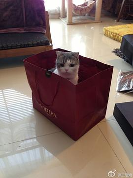 王玥兮