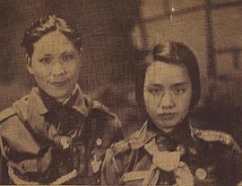 陈波儿