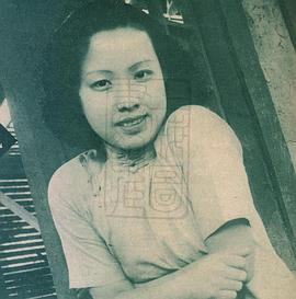 陈波儿