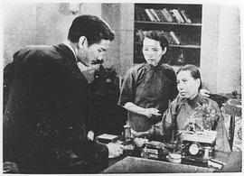 陈波儿
