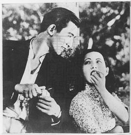 陈波儿