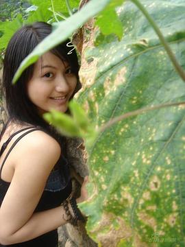 杨渝渝
