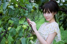 袁菲