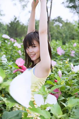 袁菲