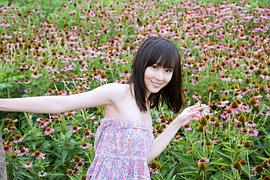 袁菲