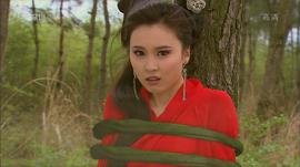 袁菲