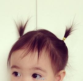 李小鹏
