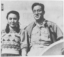 白杨