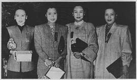 白杨