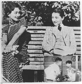 袁美云