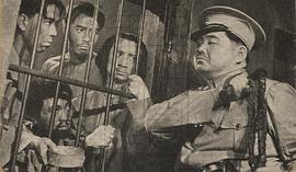 尤光照