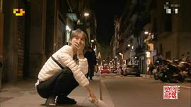 李菲儿