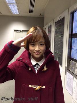 大原樱子