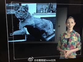 侯璎珏