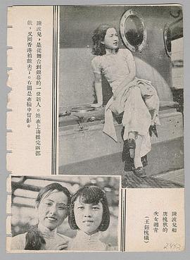 陈波儿
