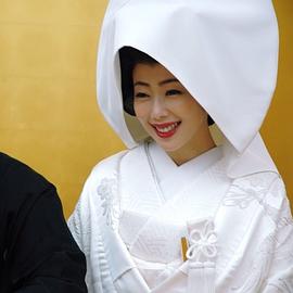 井上和香
