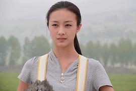佴文