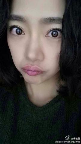 杨壹童
