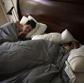 艾德里安·阿马斯