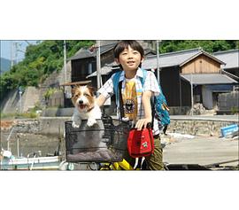 武井证