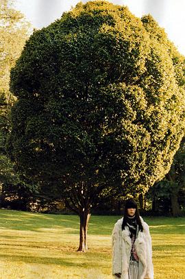梅根·考莉森