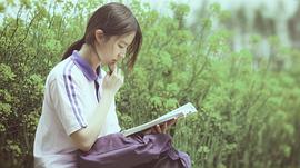 刘亦菲