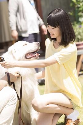 高桥光