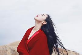 张辛苑
