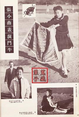 张小燕