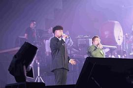 韩红