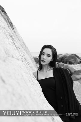 王智
