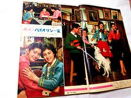 鳄渊晴子
