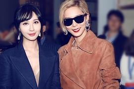 李菲儿