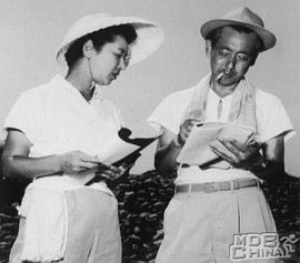 成濑巳喜男