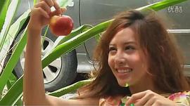 蓝蓝琳·德加莎·维