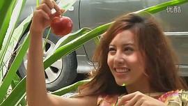 蓝蓝琳·德加莎·维