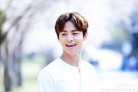 马天宇