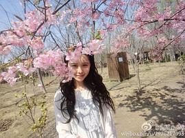 阿丽亚