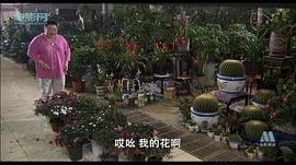毛玥