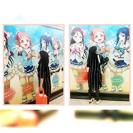 伊波杏树