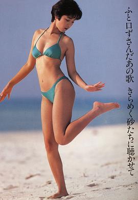 八木小织