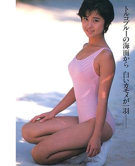 八木小织