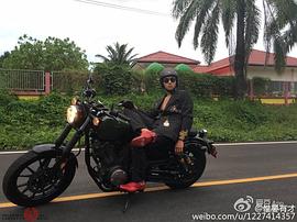 黄致列