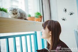 龚诗淇