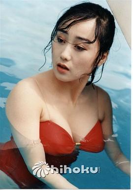 利智