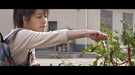 王婷