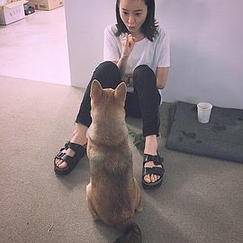 郑有美
