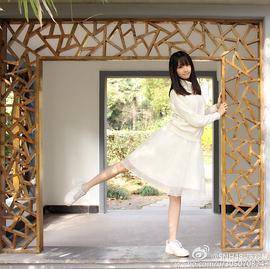 陈观慧