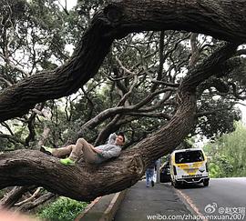 赵文瑄